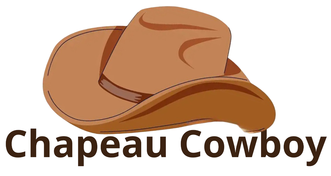 image du logo du site chapeaucowboy.com